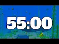 55 MINUTE TIMER MINECRAFT TIMER