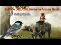 Download Lagu SUARA BURUNG GELATIK BATU DIIRINGI ALUNAN KECAPI SULING SUNDA I sahabat manaki burung