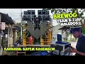 Download Lagu Cak Wito Gak Bisa disepelekan‼️BREWOG team 3 Ngamuk di Bayem Kasembon