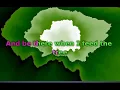 Belly - Feed The Tree (Lyrics)