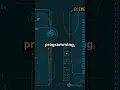 Java Programming Level Up Fast