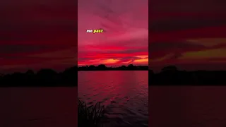 Los Ninos de Tijuana Historias de Reddit