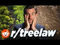 Reddit s Tree Lawyers Are Losing Their Minds
