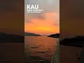 Download Lagu Kukira Kau Rumah - Amigdala Lyrics Story Wa (kukira kau rumah nyatanya kau cuma aku sewa)