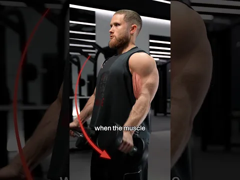 Negative vs Positive: Which Actually Matters Most For Gains?