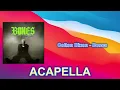 Colton Dixon - Bones (ACAPELLA) Vocals Only