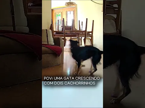 Eles se divertem HAHAHA