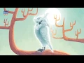 The Name of the Tree:  Owl Song