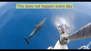 This does not happen every day!