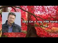 She's Got A Way With Words _  Blake Shelton Lyrics