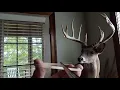 Jerry Hill Longbow