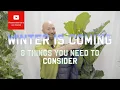 Download Lagu Winter is coming - 8 things you need to consider