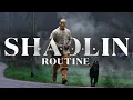Download Lagu The Ultimate Shaolin Routine | SHAOLIN MASTER