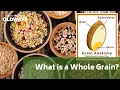 What is a Whole Grain