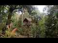 Download Lagu solo camping keatas rumah pohon || bersantai menikmati alam diatas rumah pohon dalam hutan