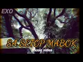 Download Lagu SA SETOP MABOK sa berjanji tra mabok mabok lagih.music(video)