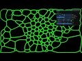 Slime simulation - ModernGL