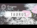 Lagu TAURUS: They Realized Your LOVE \u0026 SACRIFICE 🔪💔 SCARED You’ll Choose Someone Else 🎭 FEB MID BONUS