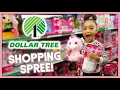 Dollar Tree Shopping Spree Dollar Store Haul MOM VLOG