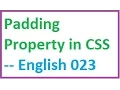Padding Property in CSS -