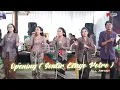 Download Lagu Sentir Lengo Potro ( Opening ) // All Artist // Bamesti #tranding #campursari #campursaridangdut