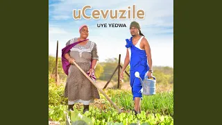 andisabaweli