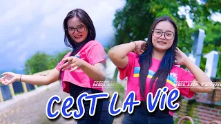 dj cest la vie reborn