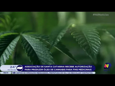 Associação de Santa Catarina recebe autorização para produzir óleo de cannabis para fins medicinais