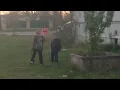 Gangster kids