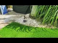 Apollo Beach Tru Artificial Grass Installation