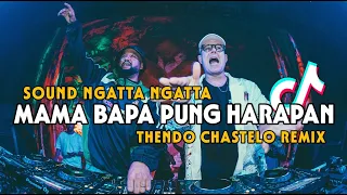dj ngatta ngatta mama bapa pung harapan bassgangga thendo chastelo remix 2024 