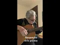 Download Lagu Marguerita/Elvis Presley/ft. guitarpriest
