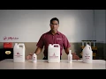 Car Fluids 101 Essential Maintenance Tips