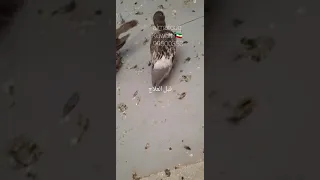 علاج الصده والهزه 