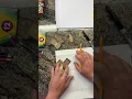 Heart tessellation