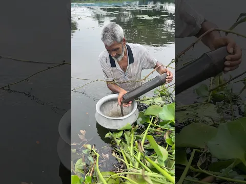 Beautiful village fishing #fishing #handfish #fish