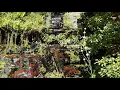 Download Lagu Waterfall of Old Palapye | Botswana | Southern Africa