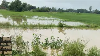 Indian Morning Village vlog With Rainy Season and Flood🫢🧐