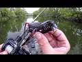 Download Lagu Memancing Ikan dengan Umpan Burung untuk Binatang Buas Sungai!