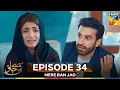 Download Lagu Mere Ban Jao Episode 12