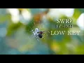 Lagu SWR - LOW KEY | NEW BODO RAP | 2022| Prod. Yvng finxssa