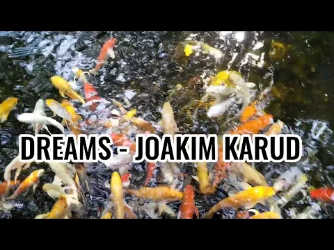 Download MP3 DREAMS - JOAKIM KARUD
