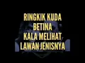 Download Lagu IWAN FALS YA... Hui.. Ha he ha Lyric