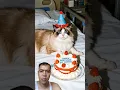 Download Lagu cat #happybirthday #cat #birthday #cake #cute #funny #aiandcats #aicats #kitten #animalintelligence