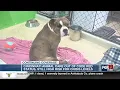 Cincinnati Animal Care pleading for fosters adopters