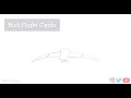 Bird flight cycle Animation Tutorial