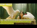 Download Lagu VIRAL !! GADIS TKI CANTIK INI DIBUANG MAJIKAN KARENA KESALAHAN, TAK DISANGKA DISELAMATKAN DUA ELANG
