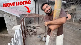 Mini Zoo Main Naya Ghr Bnwa lia😍 Idr Kon Rhy ga ?