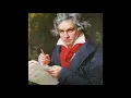 Ludwig van Beethoven - Symphony No 7 In A Major - 2nd Movement - Allegretto