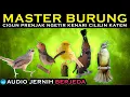 Download Lagu MASTER BERJEDA AUDIO JERNIH | cigun, prenjak ngetir, kenari, cililin, katem